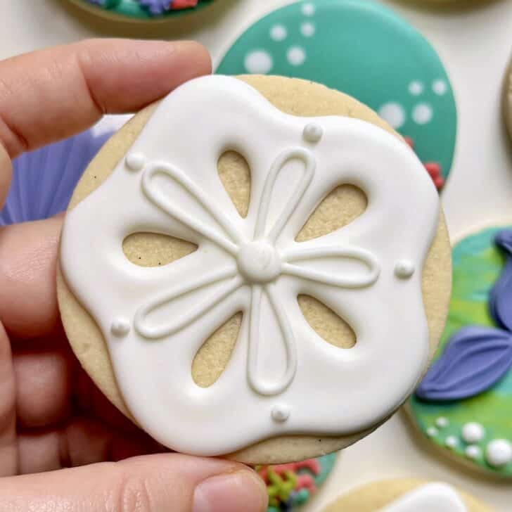 sand dollar Cookies decorated with royal icing