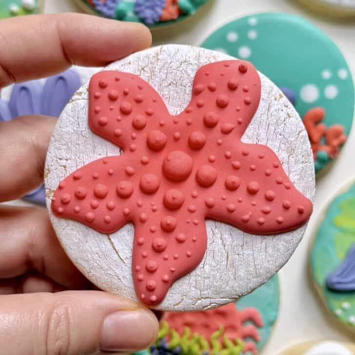 starfish Cookies decorated with royal icing