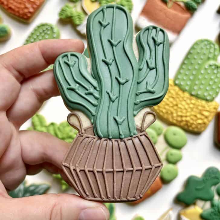 cactus Cookies decorated with royal icing