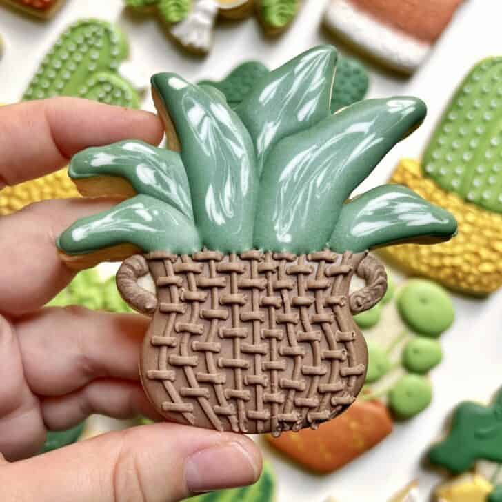 aloe plant Cookies decorated with royal icing