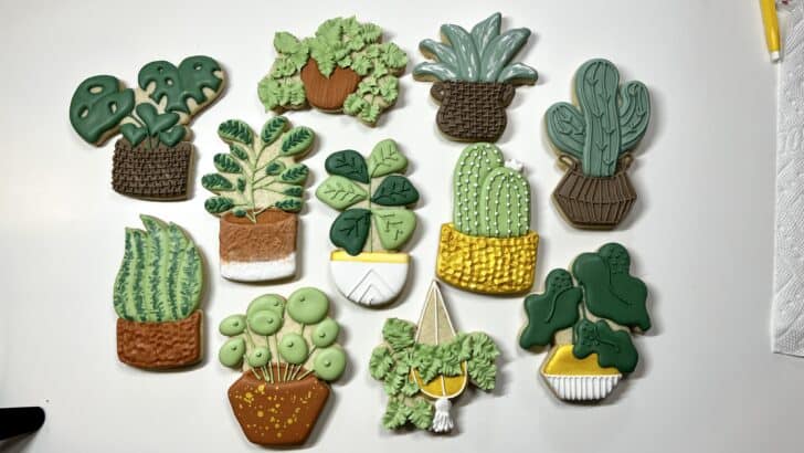 Plant Cookies decorated with royal icing