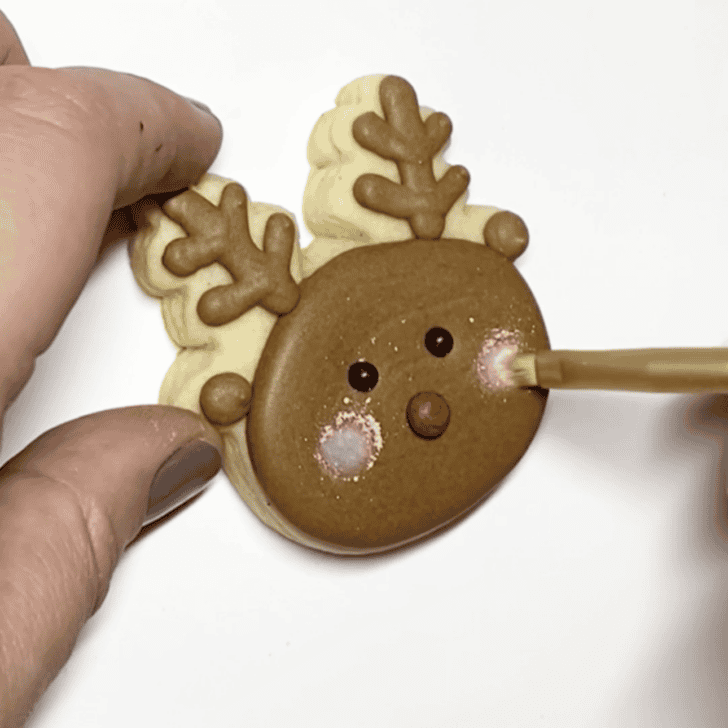 Step-by-Step Decorating Instructions for Rudolph Christmas Cookies