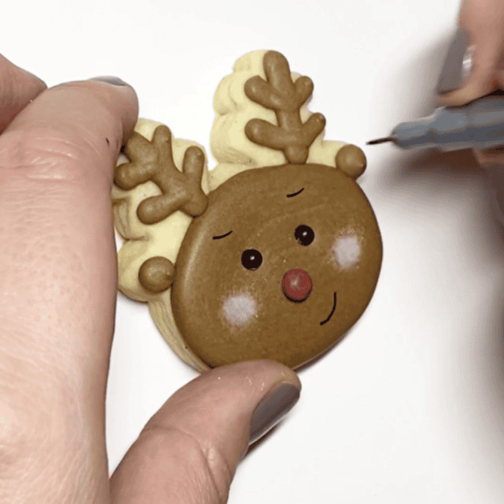 Step-by-Step Decorating Instructions for Rudolph Christmas Cookies