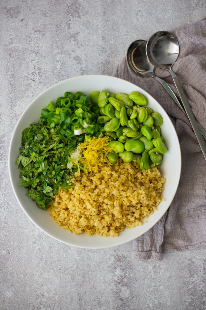 Quinoa & Green Fava Bean Salad