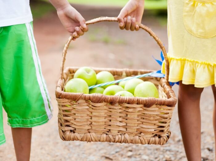 The Inspired Treehouse - This apple orchard game is a fun fall-themed activity to help kids work on gross motor skills development.
