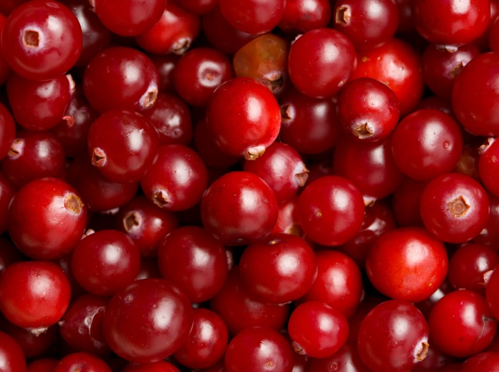 The Inspired Treehouse - Looking for a fun Thanksgiving game for your little ones?  Put those cranberries to good use with this fun movement activity!