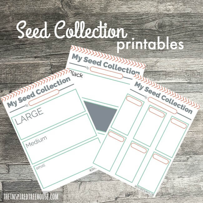 The Inspired Treehouse - These printable activities for kids are the perfect way to say hello to spring!