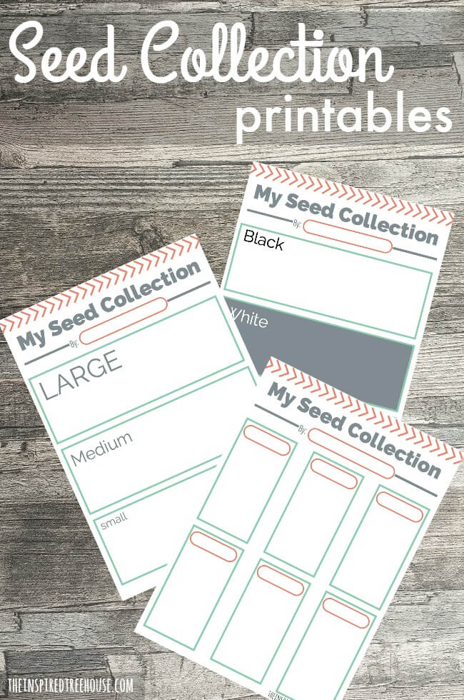 The Inspired Treehouse - These printable activities for kids are the perfect way to say hello to spring!