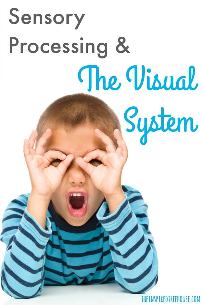 The Inspired Treehouse - Learn more about the visual system and how our sense of sight can have a huge impact on functional performance during day-to-day activities.