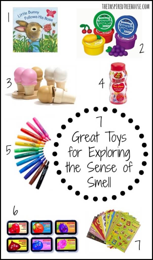 sensory processing the olfactory system toys