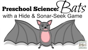 Preschool-Science-Bats-with-Hide-and-Sonar-Seek-via-www.RaisingLifelongLearners.com_