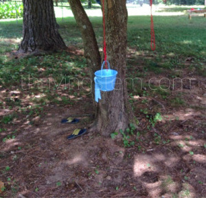 blogger-image-2025449132