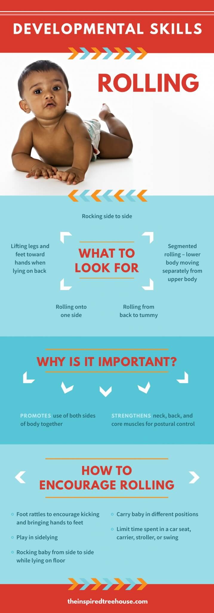 The Inspired Treehouse - At what age do babies roll over? Learn more about this important baby milestone here!