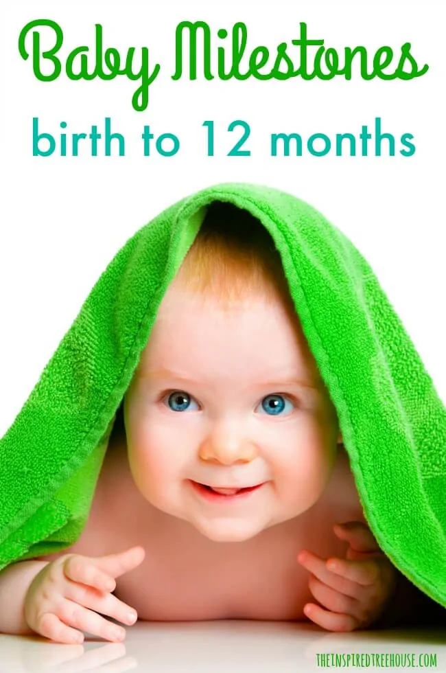 The Inspired Treehouse - Learn more about baby milestones - how babies develop and move from 0 to 12 months.