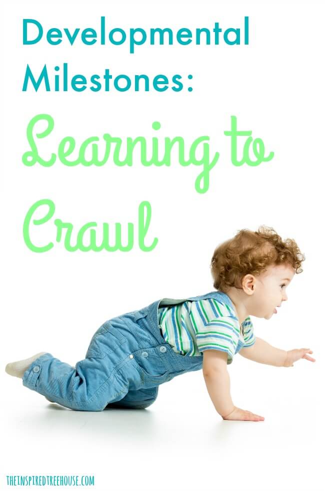 White background with a baby demonstrating the crawling milestone and text about learning to crawl.