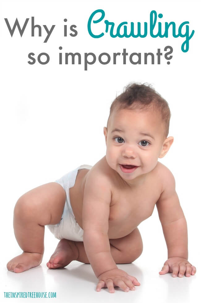 The Inspired Treehouse - When do babies start crawling? And why is this developmental skill so important? Learn more about this important developmental milestone.