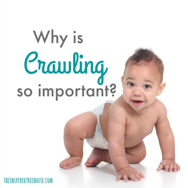 The Inspired Treehouse - When do babies start crawling? And why is this developmental skill so important? Learn more about this important developmental milestone.