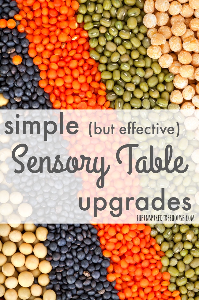 The Inspired Treehouse - These ideas will give your sensory tables and sensory bins more bang for your buck!