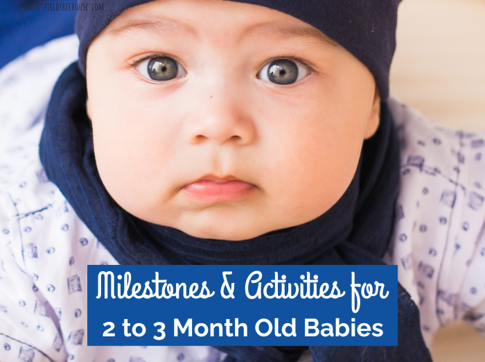 Picture of baby lying on tummy with text that reads milestones for 2 month old to 3 month old babies