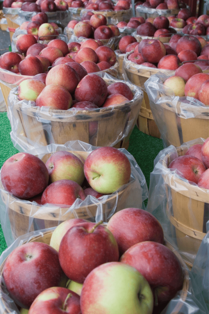 Easy and Delicious Homemade Applesauce. Baskets full of apples.