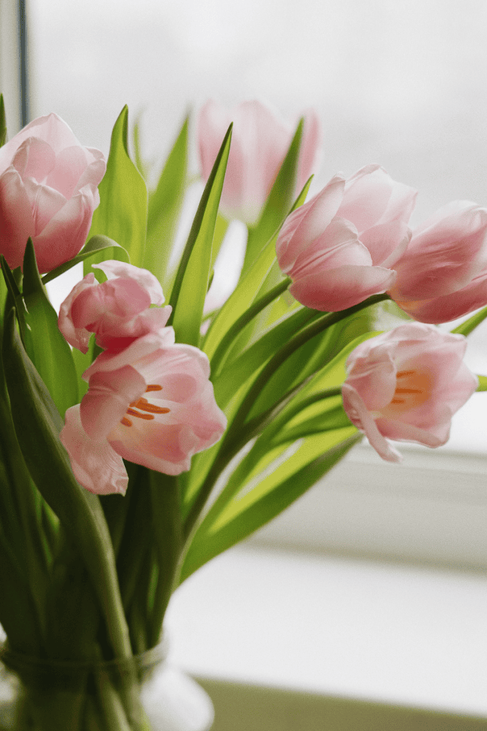 A few things I'm loving: April edition. Vase of pink tulips.