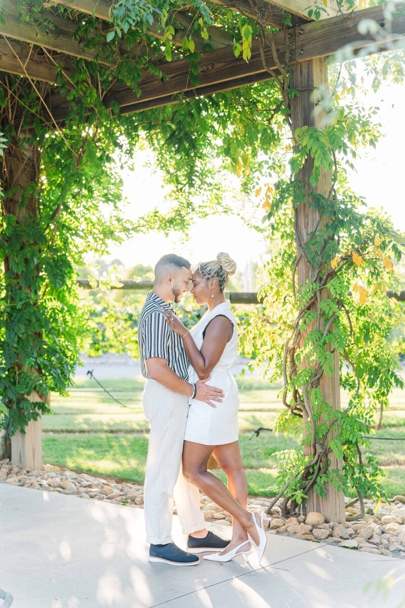 Vineyard engagement photos at Spinning Leaf featuring soft sunset light and natural beauty.