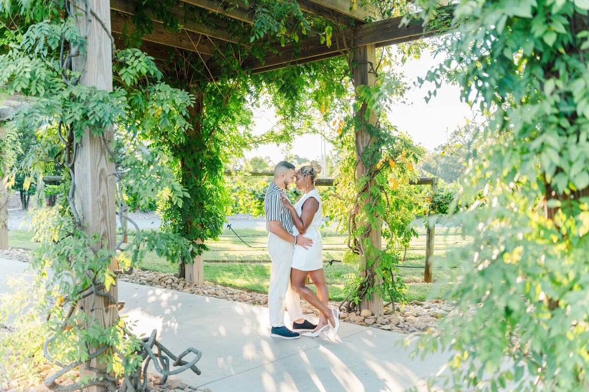 Spinning Leaf vineyard wedding venue showcasing natural beauty and rolling vines.