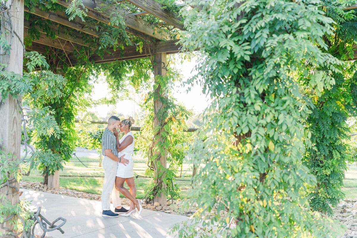 Engaged couple embracing during golden hour at Spinning Leaf vineyard wedding venue in NC.