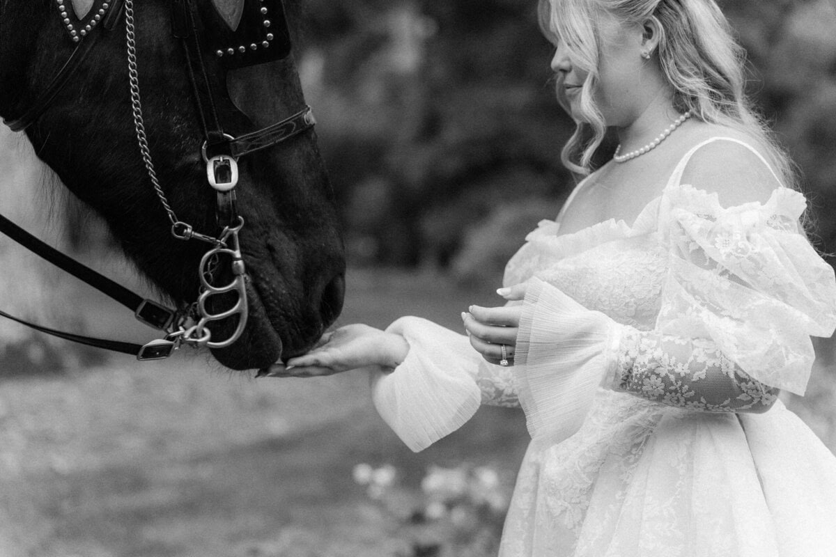 Bride in full lace wedding gown feeding carrots to horse Sammie in the rain at Alexander Homestead, Charlotte NC wedding