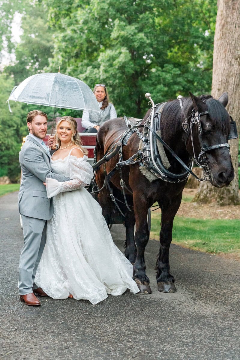 Bride and groom standing on the carriage steps with horse Sammie in the background, Alexander Homestead wedding photos Charlotte NC