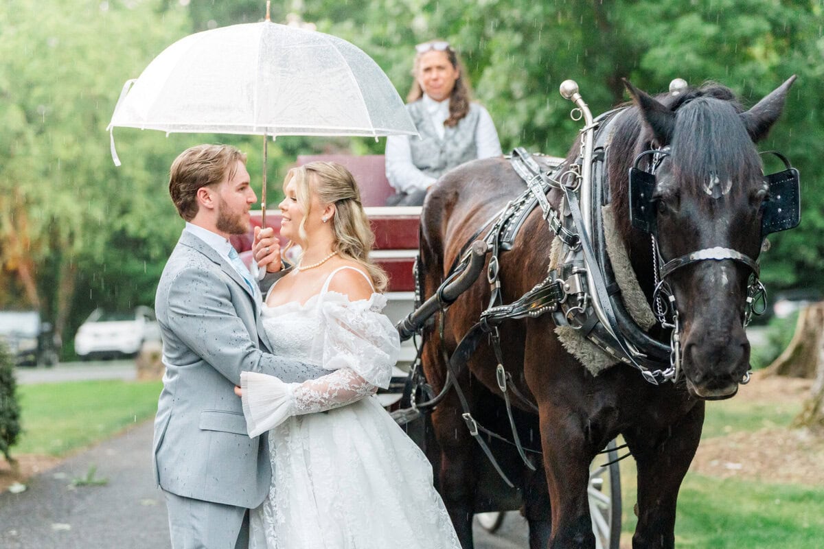 Horse drawn carriage horse Sammie at Alexander Homestead during rainy spring wedding, Charlotte NC wedding photos