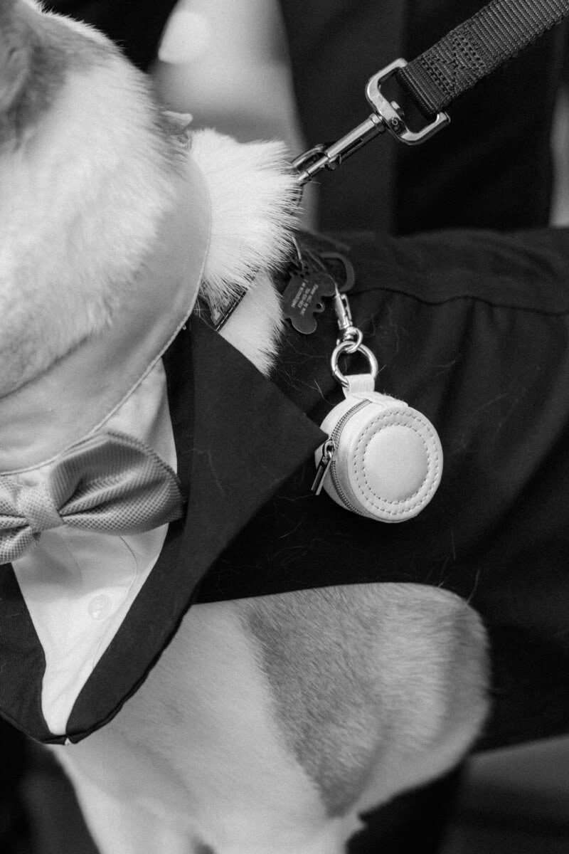 Close up of wedding rings during ring bearer moment at Alexander Homestead wedding