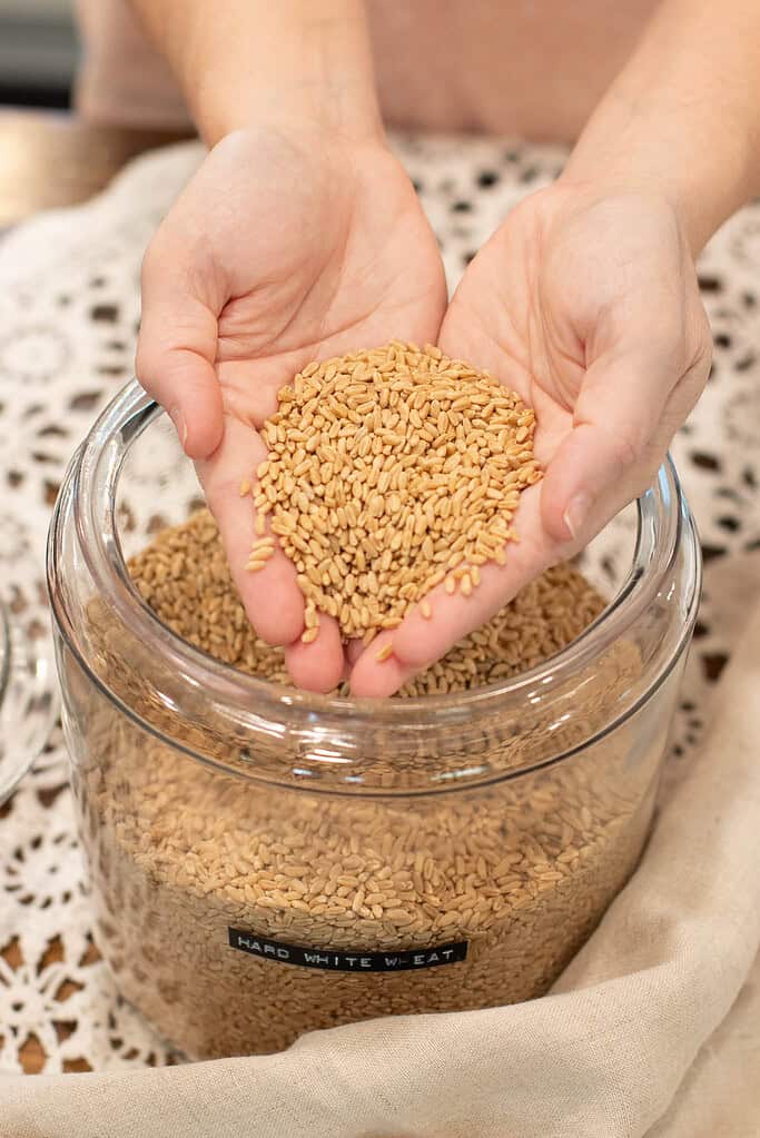 Hands cupping and pouring hard white wheat berries over a glass jar filled with grains, labeled clearly. The jar rests on a lacy tablecloth, creating a soft, vintage aesthetic.