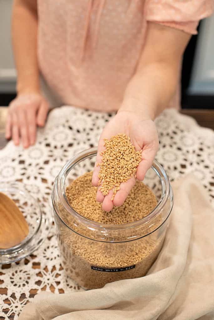 A hand extends forward holding hard white wheat berries above a full glass jar. The jar sits on a crocheted tablecloth, and part of the person’s soft pink blouse is visible in the background.