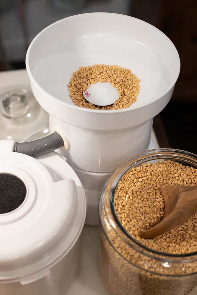 Top view of the WonderMill grain mill loaded with wheat berries, with a jar of whole grains and a wooden scoop nearby.