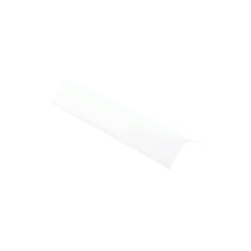 WR17X12486 GE Refrigerator Light Cover