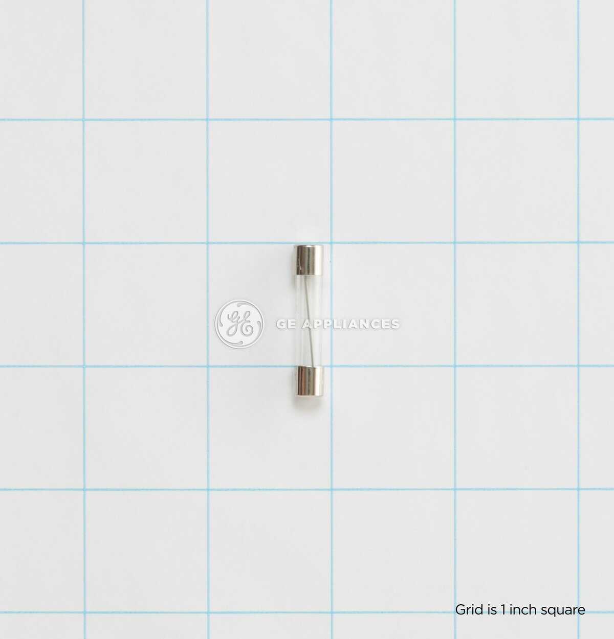 WB27X11138 GE Oven Microwave Fuse