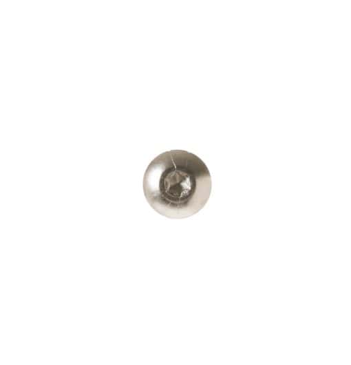 WB01T10067 GE Range Screw 10-16 PL PNT - Image 2