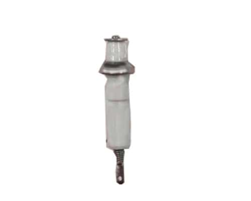210390P Fisher & Paykel BBQ Electode Pkd