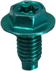 00630845 Bosch Oven Screw