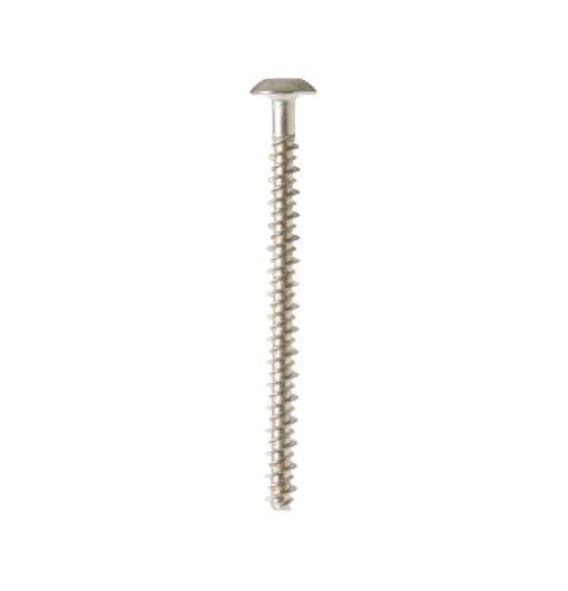 WB01T10067 GE Range Screw 10-16 PL PNT