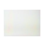 WB56T10350 GE Oven Glass Window