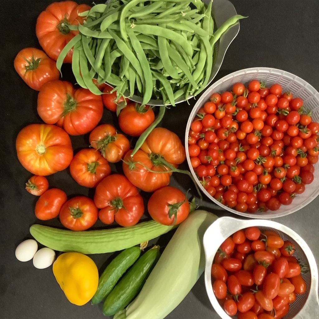 Fresh Produce-tomatoes, cucumber, beans.