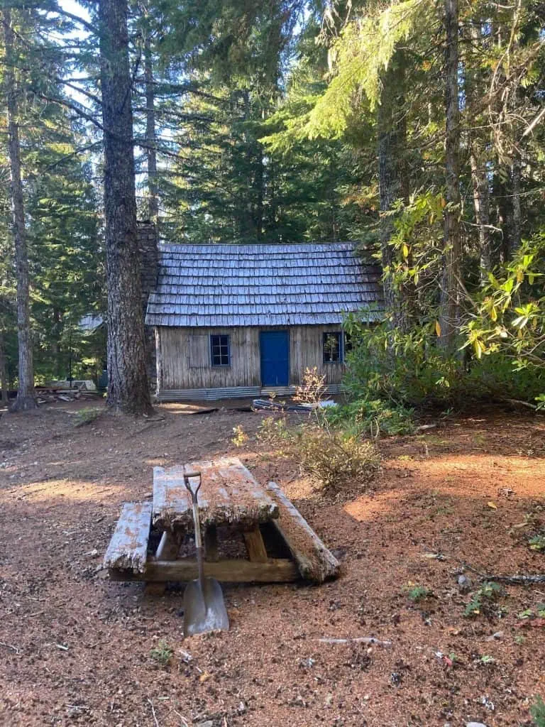 Mt. Hood Cabin in the woods.