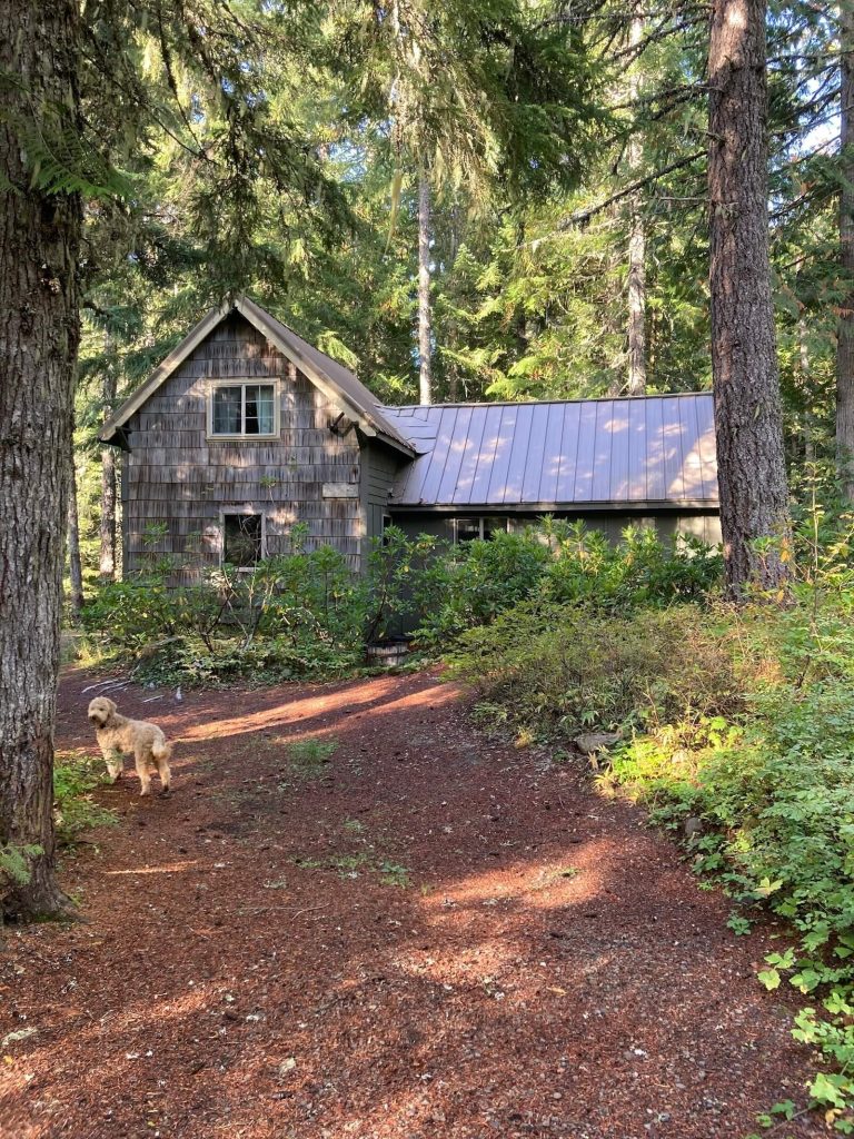 Cabin on Mt. Hood nestled in the forest.