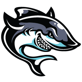 Complete Web and Graphic Design Services