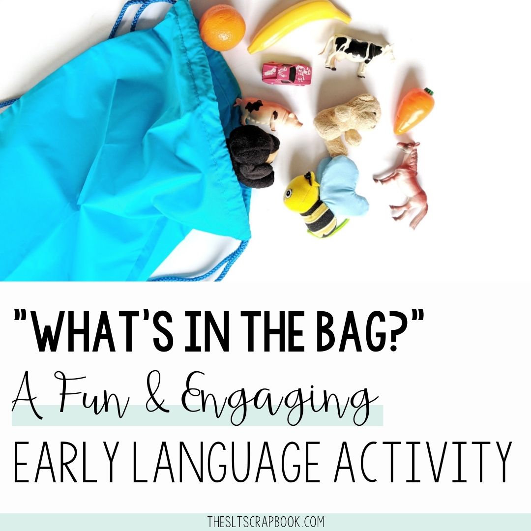 Picture of a blue drawstring bag with toys coming out of it. The text reads "what's in the bag?" an Engaging early language activity.