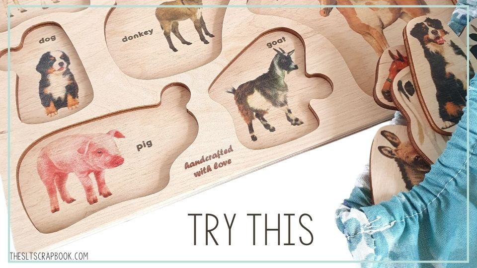 Picture of an inset puzzle- all the pieces are stored in a bag. The text reads "try this".