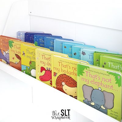 Image of a selection of 'That's Not My' books arranged in rainbow colour order on a white bookshelf.