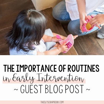 Header image- black text on a white background reads "The importance of routines in each intervention- guest blog post". Above the text is a picture of a child and her mother putting shoes on.